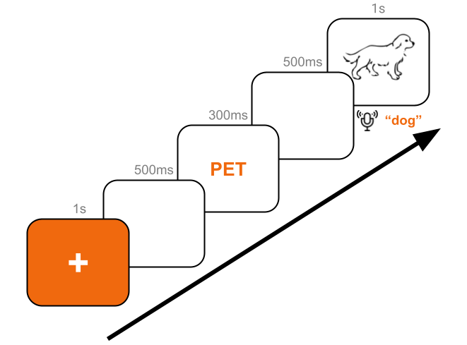 Setup of experiment